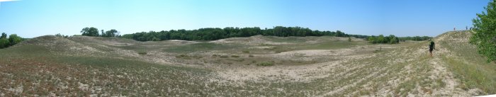 Padurea Letea - panorama