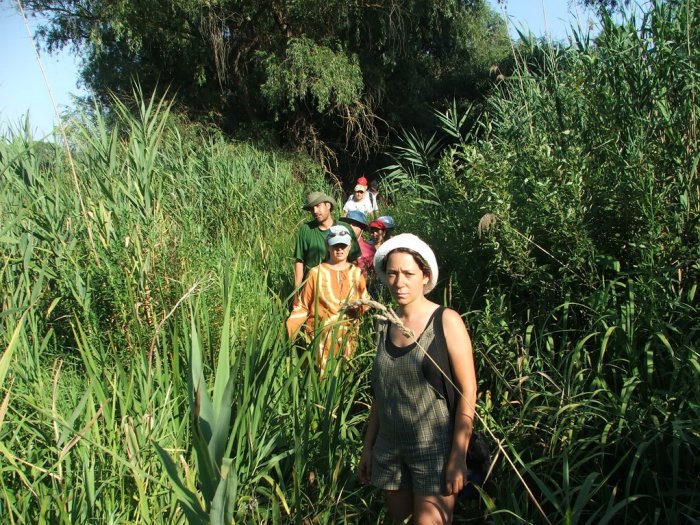 La vanatoare de tantari