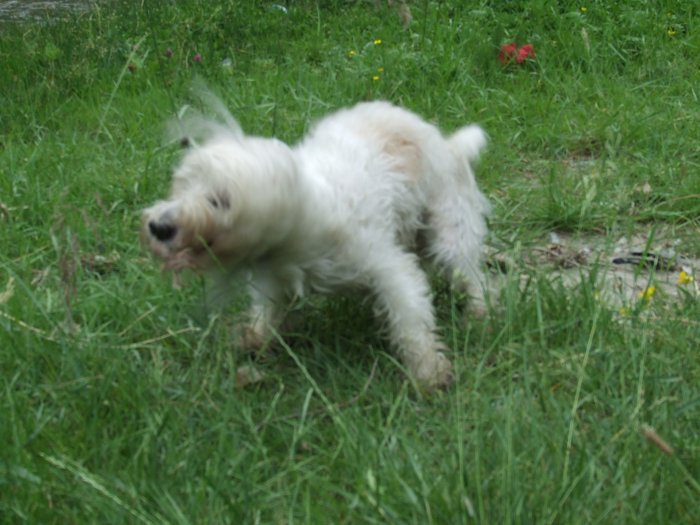 DSCF3312.JPG
